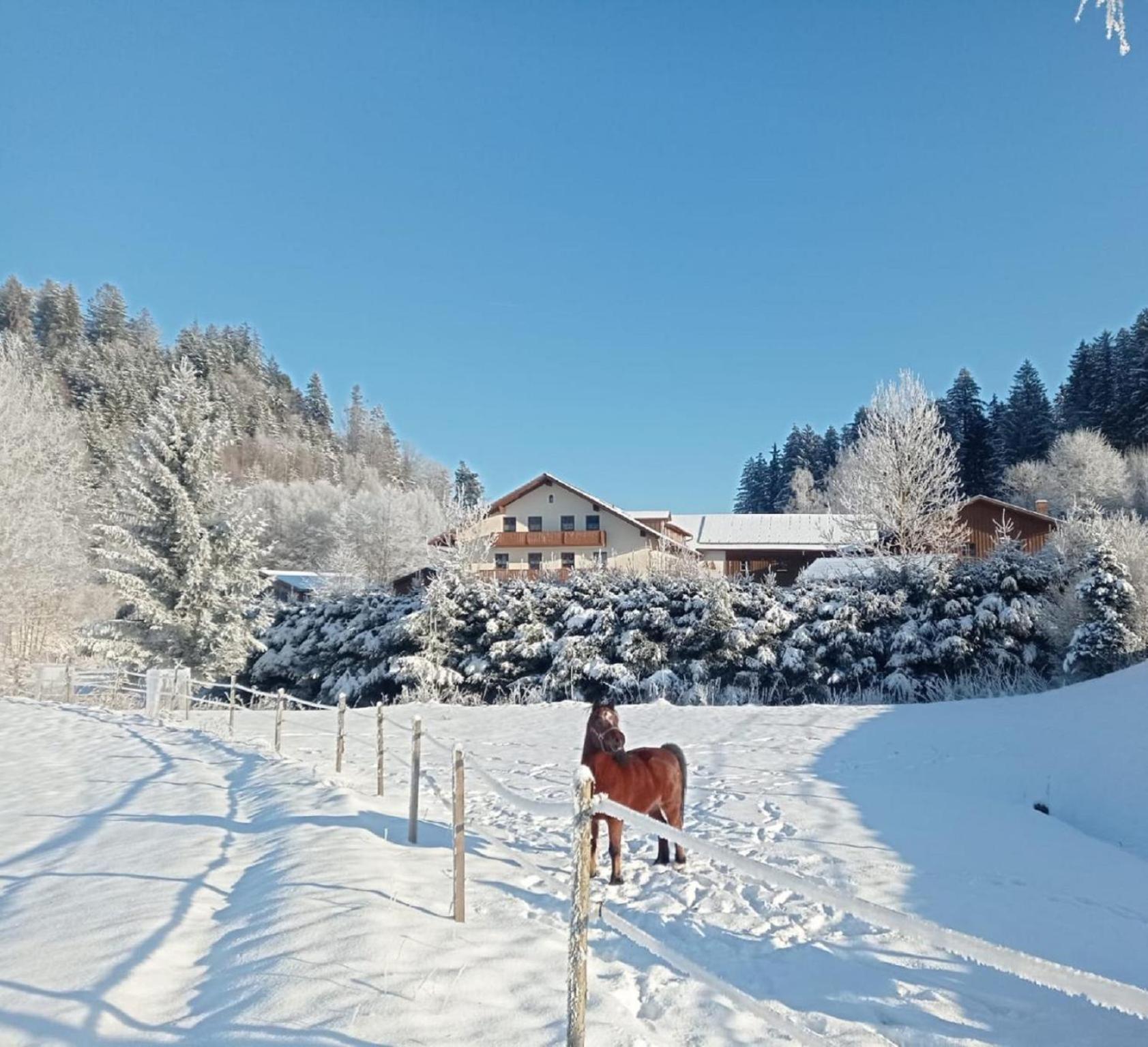 Ferienbauernhof Mehlbach Guest House Kollnburg Eksteriør bilde