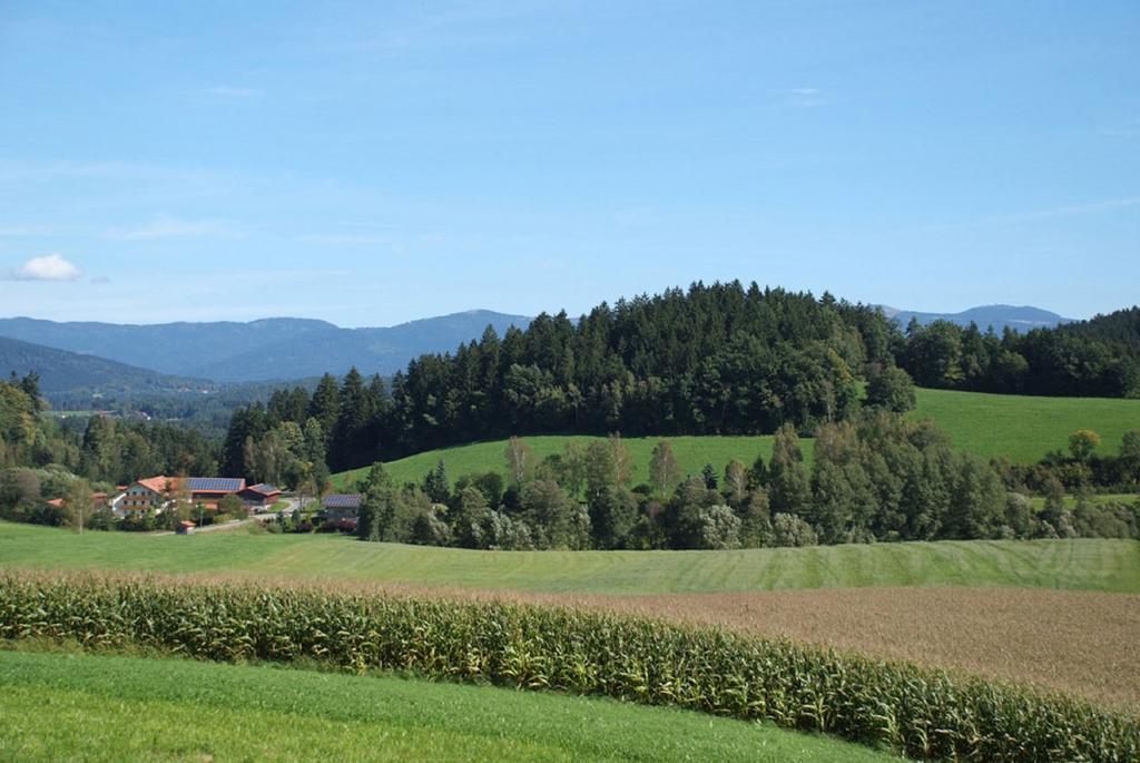 Ferienbauernhof Mehlbach Guest House Kollnburg Eksteriør bilde